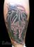 mLs̃^gDEX^WIwTattoo Survivex