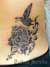 mLs̃^gDEX^WIwTattoo Survivex
