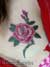 mLs̃^gDEX^WIwTattoo Survivex